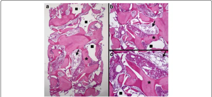 Fig. 2 Histomicrograph of a biopsy from the BC group. a Overview —×25 magnification; b ×30 magnification; c ×60 magnification