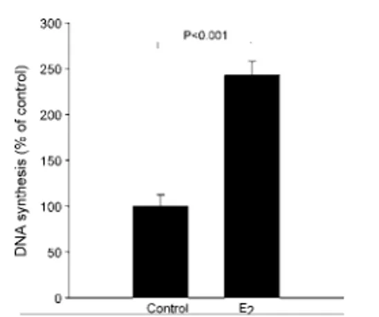 Fig. 6 – Treatment with LPS (10 mg/ml) for 72 h in the absence or presence of 100 nM E 2 has no effect on DNA synthesis