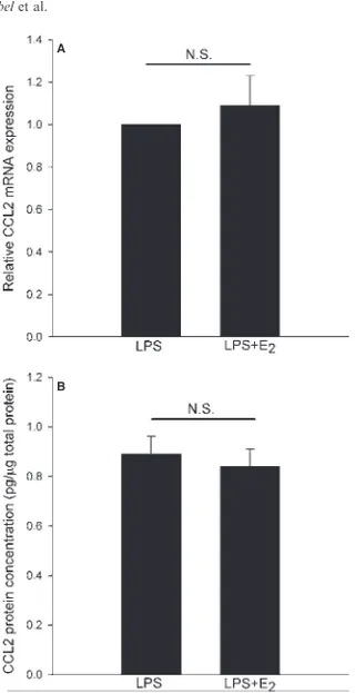 Fig. 4. Expression of (A) CCL2 mRNA and (B) CCL2 protein in periodontal ligament (PDL) cells treated for 24 h with lipopolysaccharide (LPS) (0.5 lg/mL) in the absence or in the presence of 100 n M 17b-estradiol (E 2 )