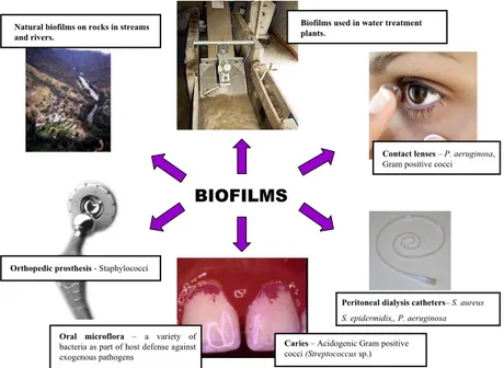 Figure 1. Examples of beneficial and non-beneficial biofilms growing in differ- differ-ent environmdiffer-ents