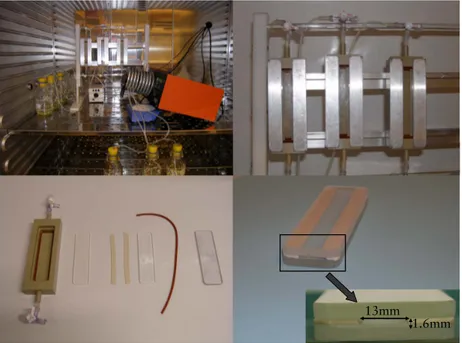 Figure  8.  The  flow-cell  system  up  and  running  (top  left),  flow-cells  in  action  (top right), unassembled flow-cell (bottom left), glass slides separated by  sili-cone spacers showing space for biofilm growth (bottom right).