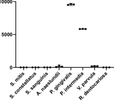 Fig.  1. Protease  activity  in  suspensions  of  eight  species  of  oral  bacteria  measured using FITC-labeled casein and expressed as RFU after 1 h incubation