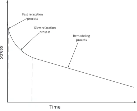 Figure 16. Relaxation and remodeling behavior of cortical bone  that affects the stress over time [41]