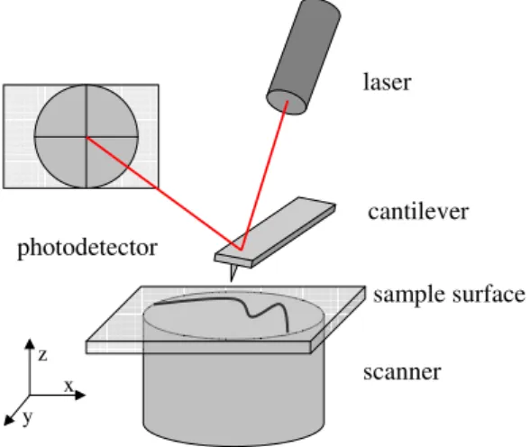 Figure 5. Schematic illustration of the important parts of the AFM: laser,  cantilever/probe, sample surface, scanner and the photo detector