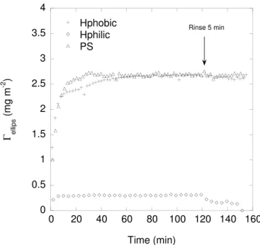 Figure 7. Adsorbed amounts of BSM versus time on hydrophobized and  hydrophilic silica and polystyrene, from ellipsometry.