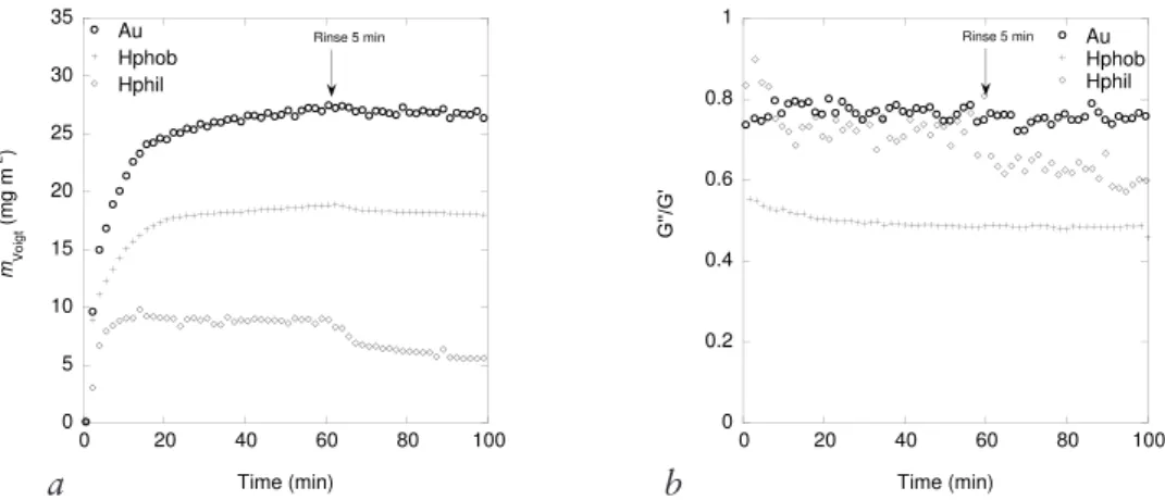 Figure 8. Voigt mass (a) and G’’/G’ (b) versus time for BSM adsorption at Au,  hydrophobized, and hydrophilic silica surfaces
