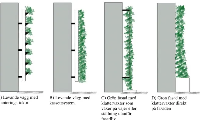 Figur 2. Illustration över olika gröna vägg-konstruktioner, baseras på Andersson &amp; Karlsson (2014)