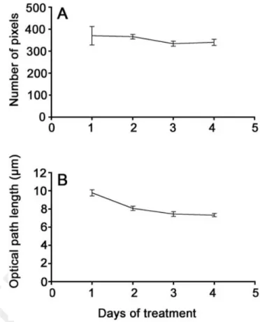 Fig. 8. Determination of relative errors when determining the amount of L929 cells per area unit, using phase shift data obtained via computer algorithms