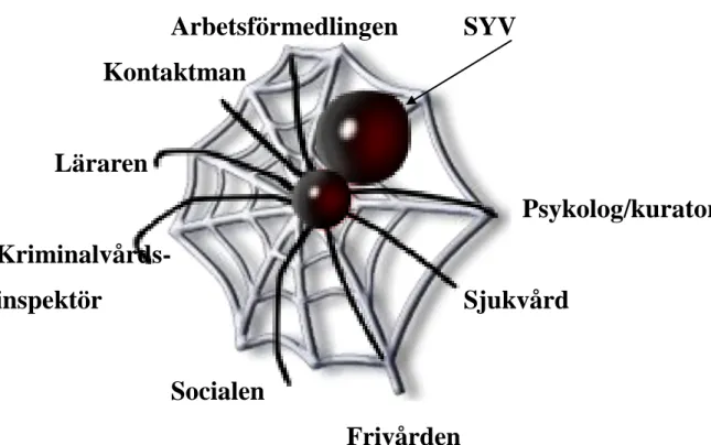 Figur 2. Spindeln i nätet 