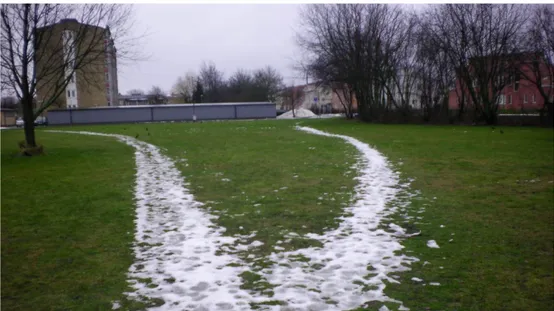 Figure 2. People creating a desire path by walking where there is no made path. Photo taken  by: Josefine Hansson, 2009