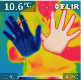 Figur 2. Händernas temperatur synliggörs med en värmekamera. 