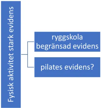 Figur 3. Översikt över evidensgraden. 