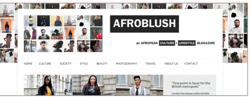 Figure	
  8:	
  Cultural	
  diversity	
  and	
  life-­‐style	
  on	
  afroblush.com	
  