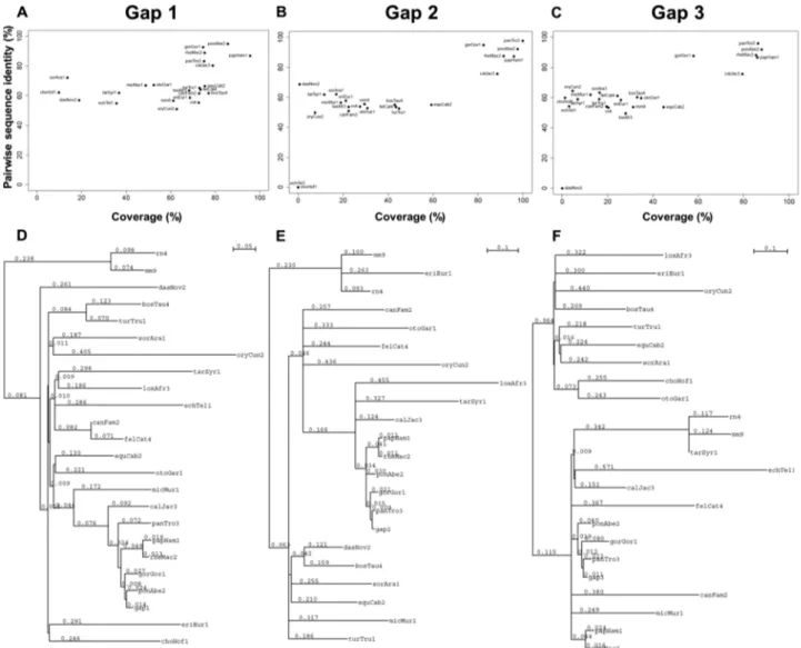 Figure 4. Conservation analysis of human chr 20 gaps. The coverage versus pairwise sequence identity of 23 organisms are shown as scatterplots for gap 1 (A), gap 2 (B) and gap 3 (C)