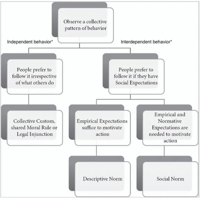 Figure	07:	Diagnostic	process	of	identifying	collective	behaviors.	