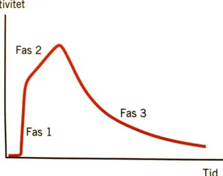 Figur 1. De olika faserna; blodpolsfasen, upptagsfasen och utsöndringsfasen i ett normalt  renogram [1]