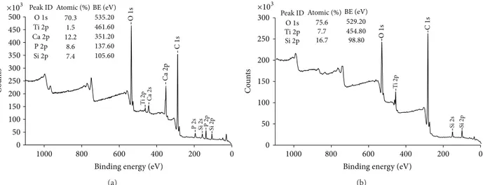 Figure 4: XPS survey spectra of (a) the test nano-HA surface and (b) the control titanium surface.