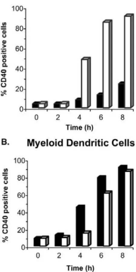 TABLE 2 Cytokine secretion in isolated human peripheral dendritic cells after stimulation with LPS or CpG Stimulation Cytokine a(pg/ml) Time (hours)0246 8 LPS IL-8 7 514 2929 ⬎5000 ⬎5000 IL-6 3 5 71 142 235 TNF-␣ 3 13 61 44 38 CpG IL-8 11 131 1676 3184 386