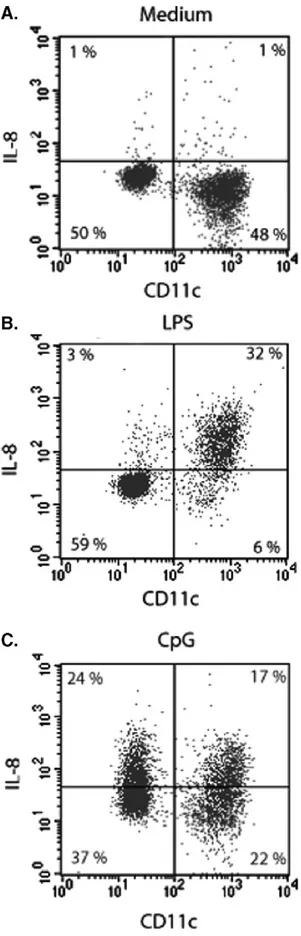 FIGURE 3 Production of IL-8 by activated DCs after 4 hours of stimulation. Dendritic cells (DCs) were incubated in culture medium at 37°C in the presence of LPS or CPG