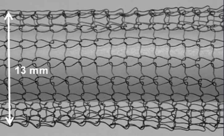 Figure 1. Image of Ti mesh tube before compressing into a mould.