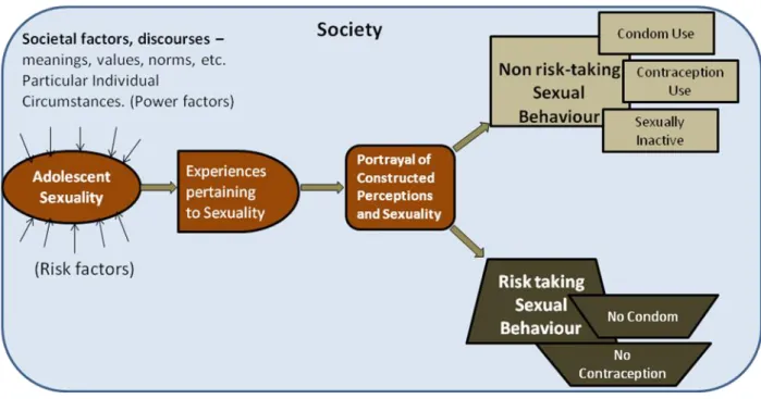 Figure 6.1  Model for Social Construction of Adolescent Sexuality with Regard to Risk-taking The political, social, cultural, etc