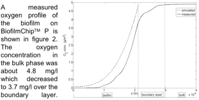 Figure 2. Measured [solid] and simulated [dashed] oxygen profile.