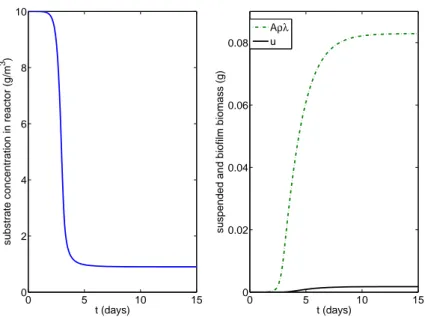 Figure 4: Typical time-dependent simulation at D = 0.42/day and S 0 = 10 g/m 3 with substrate concentration S (left) and suspended biomass u and biofilm biomass Aρλ (right).