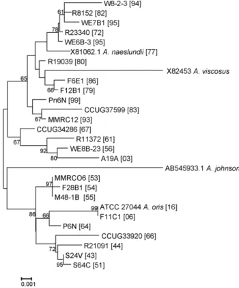 Figure 3. Neighbor-Joining tree of partial 16S rRNA gene sequences. Approximately 1400 bp sequences of 16S rRNA genes selected A