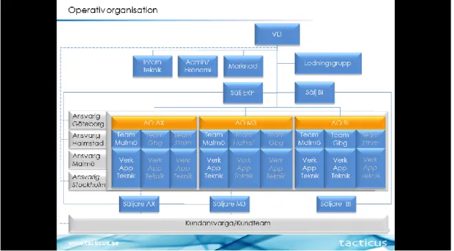 Figur 1: Tacticus egna organisationsstruktur, (2011) 