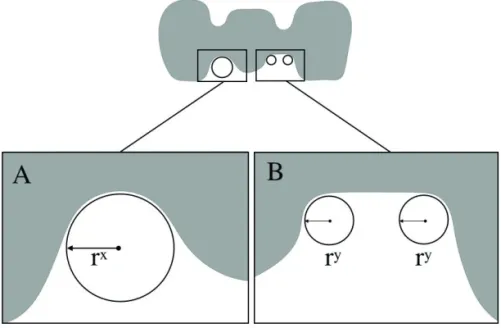 Figure 1 (a and b).  Two connector designs of the gingival embrasure, where  r x  and r y  represent the radius of the curvature of the gingival embrasure: 