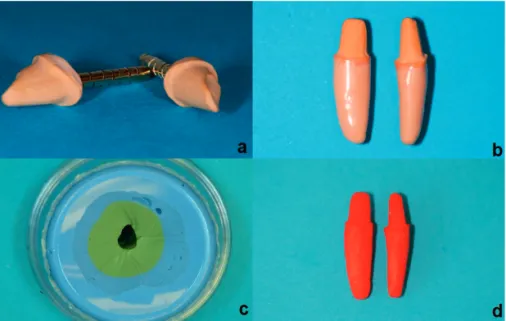 Figure 2 (a-d).  Fabrication of supporting tooth analogues: (a) First and third  incisor reproduced from master impression poured in die stone, (b) Wax-up  of rots, (c) Mold for duplicating wax-up, (d) Incisor and canine in DuraLay ® 