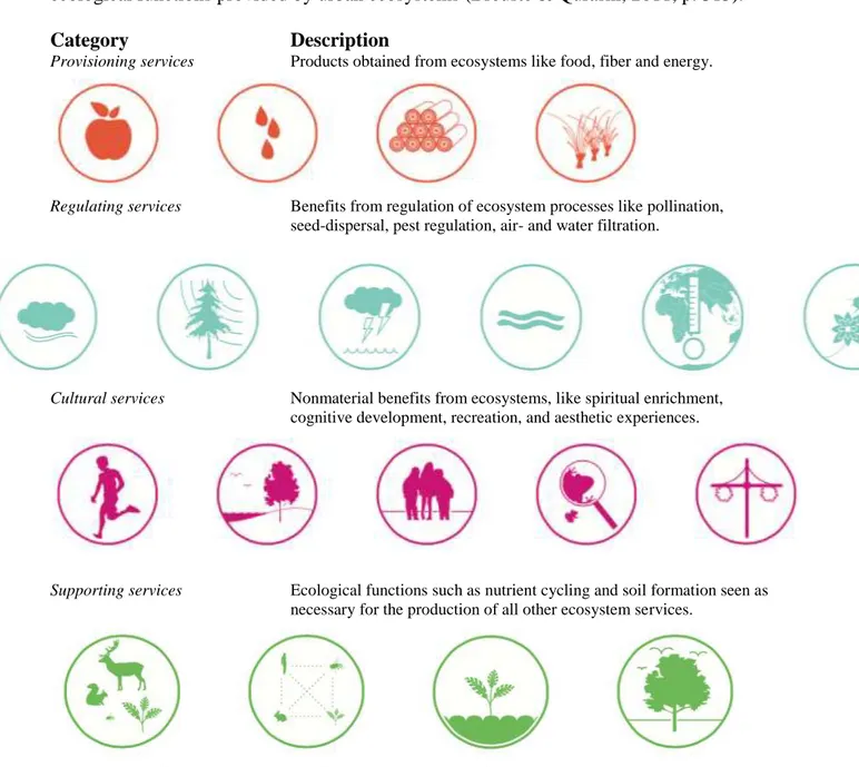 Figure 1: Model of Ecosystem services (text from Ernstons 2013; icons from C/O City 2014) 
