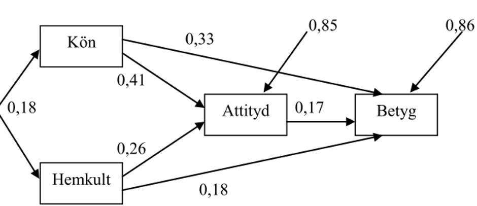 Figur 1.4.  Resultat av path-analys  