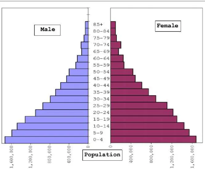 Figure 4 Age structure of Ghana’s population 