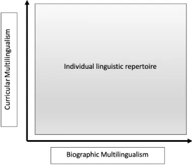 Figure 1. Conceptualisation of individual’s linguistic repertoire 
