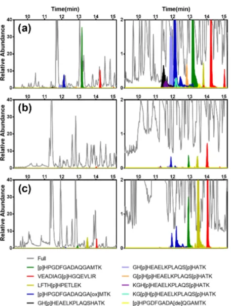 Figure 9. Extracted chromatograms highlighting histidine-phosphorylated peptides (indicated in color) corresponding to the elution fractions after enrichment using (a) MIP3 and (b) NIP3, and (c) no enrichment of a 1:1:1 BSA/β-Casein/myoglobin digest (the r