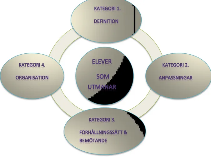 Figur 2. Huvudkategorier som underlag för resultat och analys 