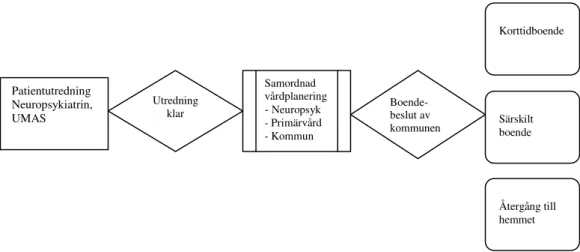 Figur 2. Vanliga flöden av patienter från NP till därpå följande boendeformer. 