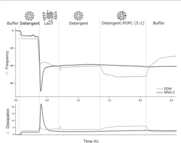 Fig. 2 QCM-D frequency and dissipation of overtone 7 for LeuT adsorp- adsorp-tion in detergents (blue trace: DDM; black trace: MNG-3) onto a NTA–PEG SAM at 14 1C