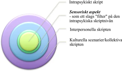 Figur 1. Sensoriskt aspekt i relation till skripten