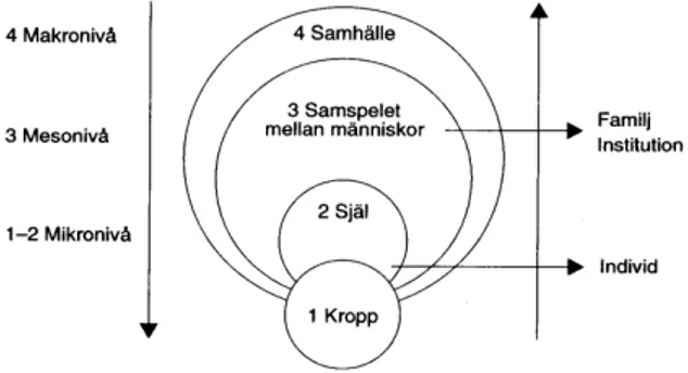 Figur 3.1 Bronfenbrenners makro-, meso- och mikronivåer (Larsson – Svärd, 1999, s. 41)