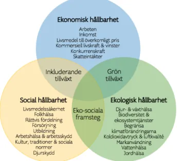 Figur 1. Venndiagram över vad ett hållbart livsmedelssystem bör leverera.  