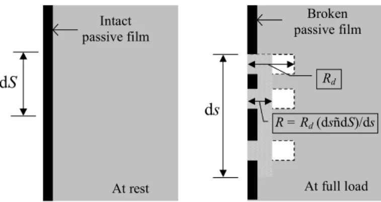 Figure 1: Illustration of film rupture, ì trueî  dissolution in the gaps (in white) and       ì smearedî  dissolution over the surface element ds (shaded). 