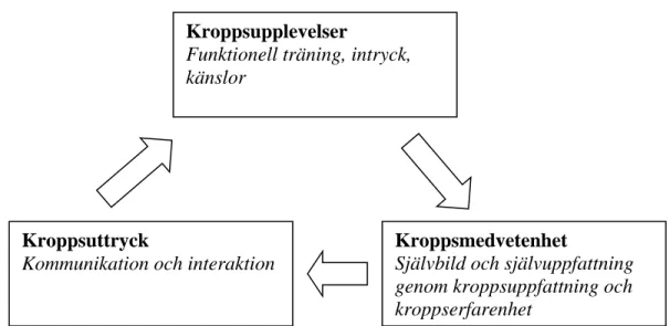 Figur 3.1 Modell över hur kroppen hanterar och utvecklar kroppsupplevelse, kroppsmedvetenhet  och kroppsuttryck.