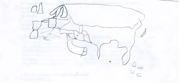 Figur 6 är ritad av en elev som har utomeuropeisk bakgrund, eleven har stor resvana samt  använder kartan mindre än en gång i veckan