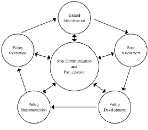 Figur 4. Riskmanagement cirkel, visar att riskkommunikation är hjärtat av riskhantering (Lang, et