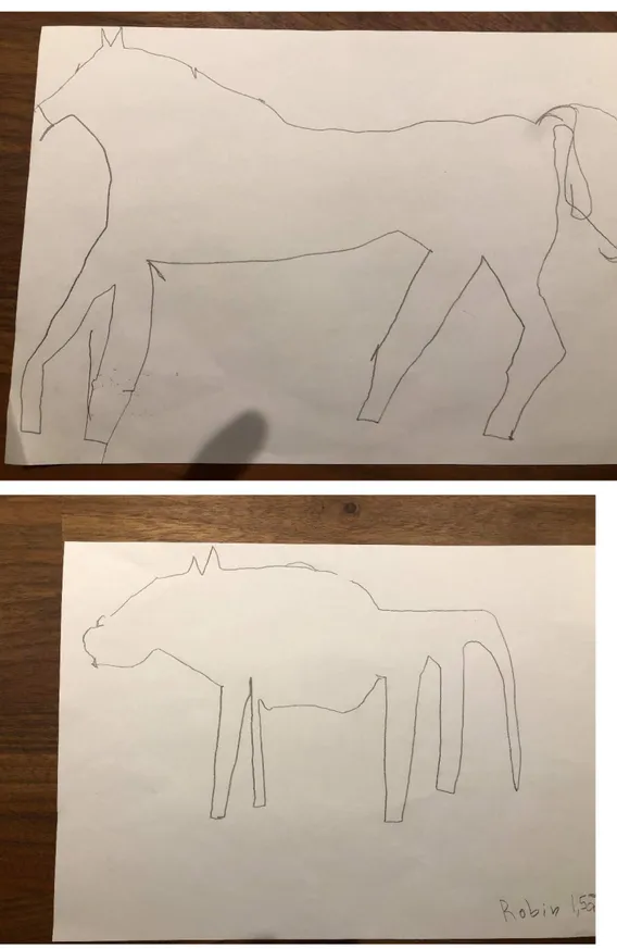 Figure 12 and 13. Two of the horse drawings from the activity (Author’s  documentation, 2019)