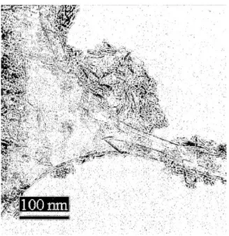 Figure 17. Transmission election microscope (TEM) of HA crystals  in Promimic AB invention