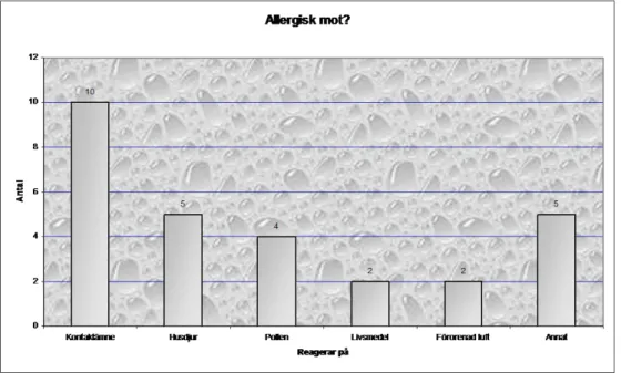 Figur 4.6 Diagram från allergiuppgiften. 