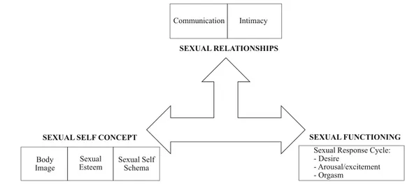 Fig. 1 Model for a theoretical overview of sexuality (from Cleary and Hegarty [1])